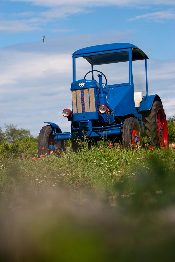 Traktormuseum_Visnjan_Villa_Verde https://villa-verde-visnjan.com/wp-content/uploads/2025/12/Traktormuseum_Visnjan_Villa_Verde.jpg
